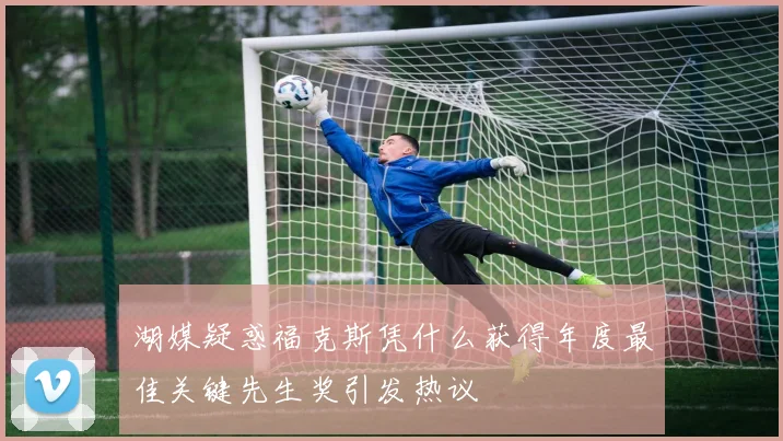 湖媒疑惑福克斯凭什么获得年度最佳关键先生奖引发热议